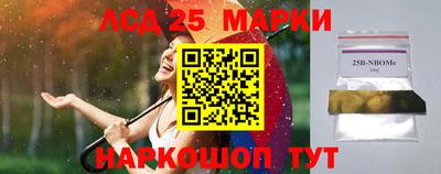 гашик Нальчик