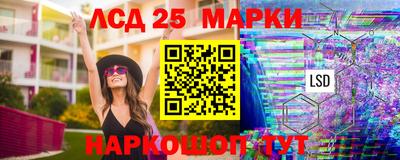 гашик Нальчик