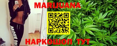 гашик Нальчик