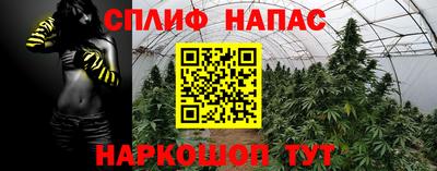 прущие грибы Нарткала