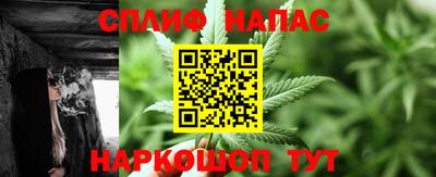 гашик Нальчик