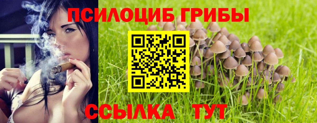 Галлюциногенные грибы мицелий Старая Купавна