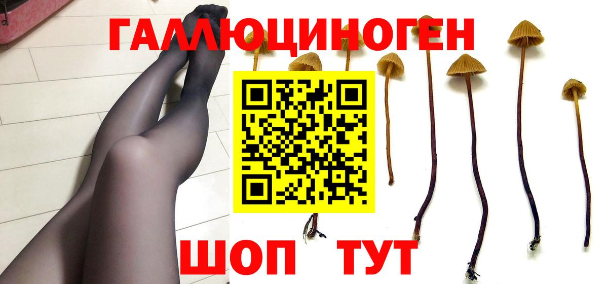 Галлюциногенные грибы GOLDEN TEACHER  Вход с VPN  Псилоцибиновые грибы Cubensis  Старая Купавна 